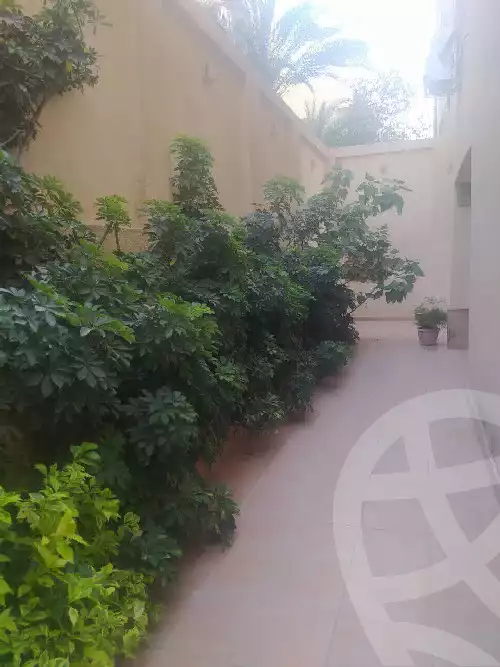 https://aqarmap.com.eg/en/listing/5998400-for-sale-cairo-new-cairo-el-ahyaa-fourth-neighborhood-street-6