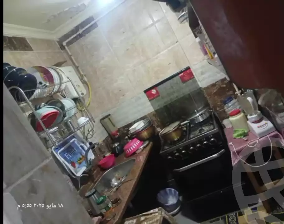 https://aqarmap.com.eg/en/listing/6000502-for-sale-alexandria-l-jmy-lbytsh