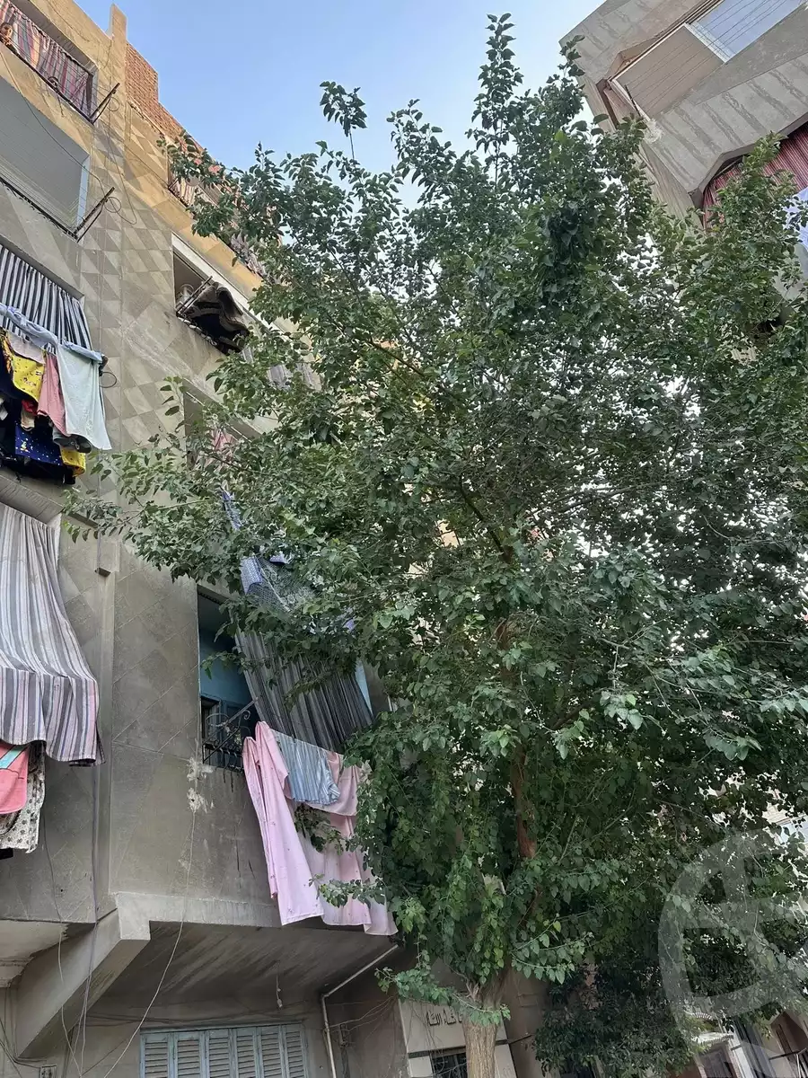 https://aqarmap.com.eg/en/listing/6000652-for-sale-cairo-helwan-american-project-neighborhood-6