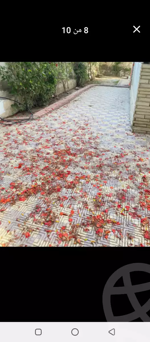 https://aqarmap.com.eg/ar/listing/6001813-for-sale-alexandria-l-jmy-lbytsh-el-hanafeya-st