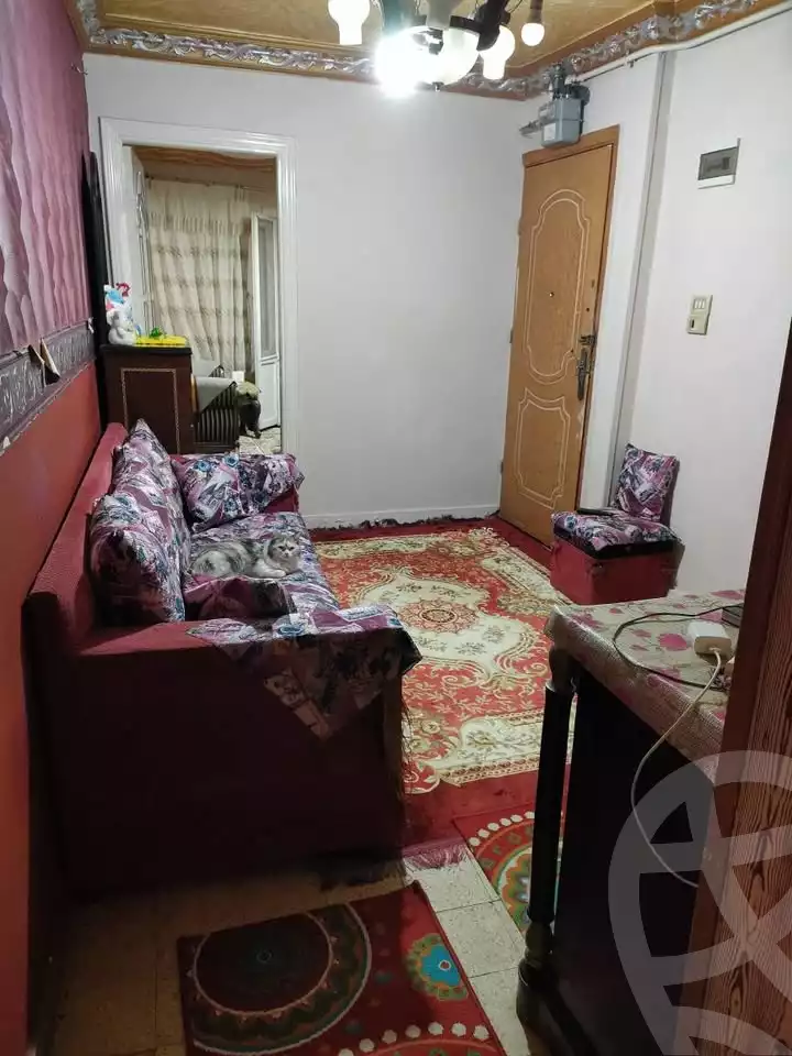 https://aqarmap.com.eg/en/listing/6002975-for-sale-alexandria-el-asafra-shr-45