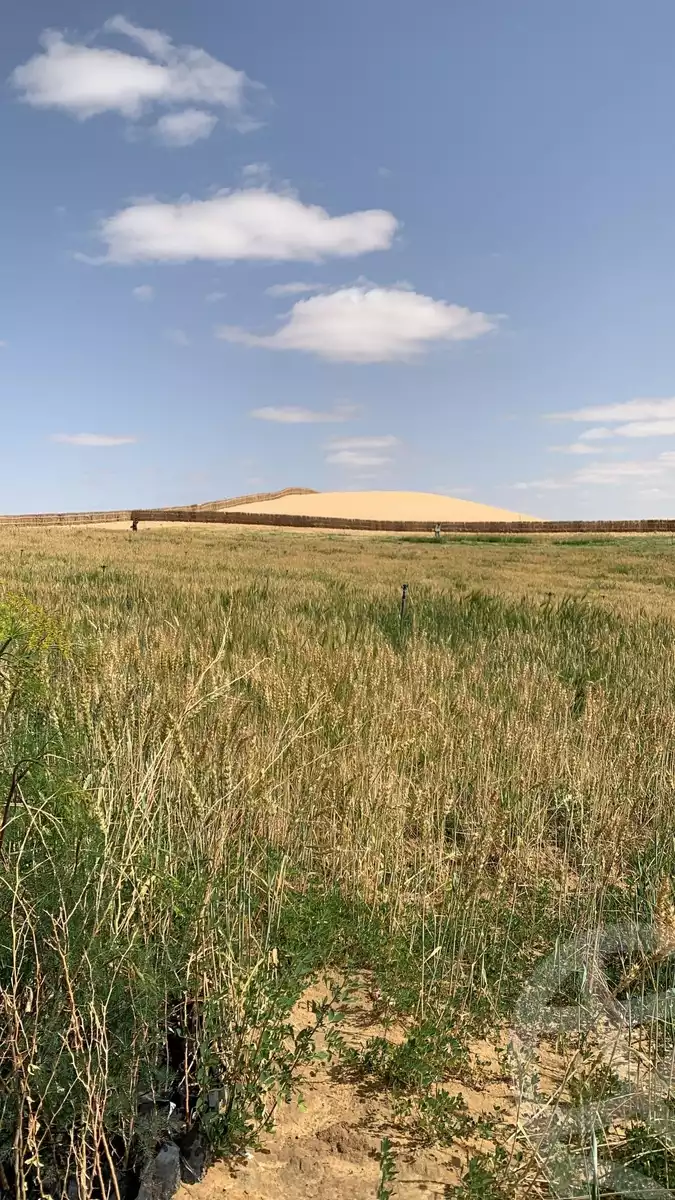 https://aqarmap.com.eg/en/listing/6004414-for-sale-marsa-matruh-siwa-oasis-wahet-siwaa-city