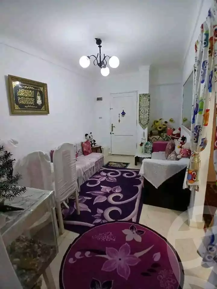 https://aqarmap.com.eg/en/listing/6005156-for-sale-alexandria-l-jmy-lbytsh-el-hay-st