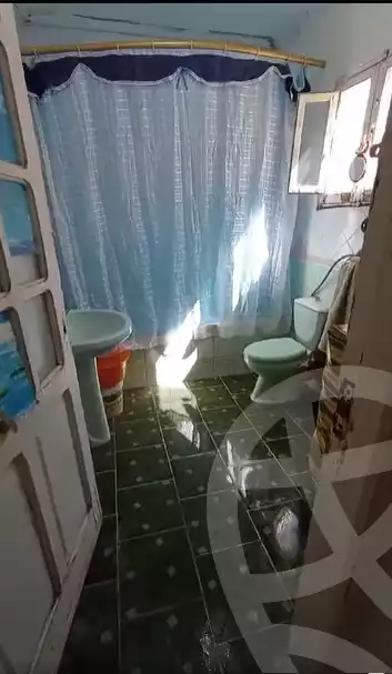 https://aqarmap.com.eg/en/listing/6005500-for-sale-alexandria-l-jmy-bw-ywsf
