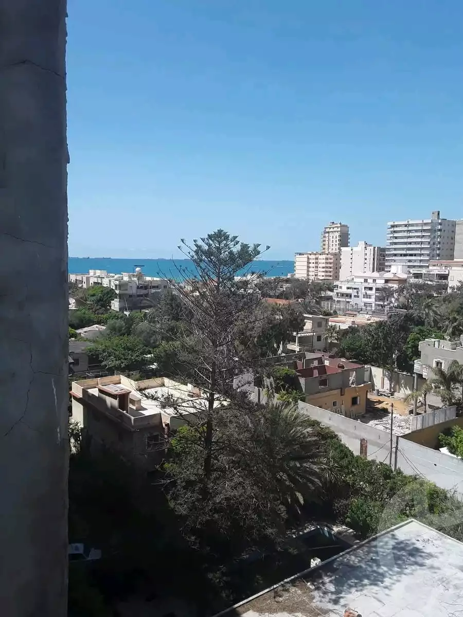 https://aqarmap.com.eg/en/listing/6006802-for-sale-alexandria-l-jmy-lbytsh-street-5-st