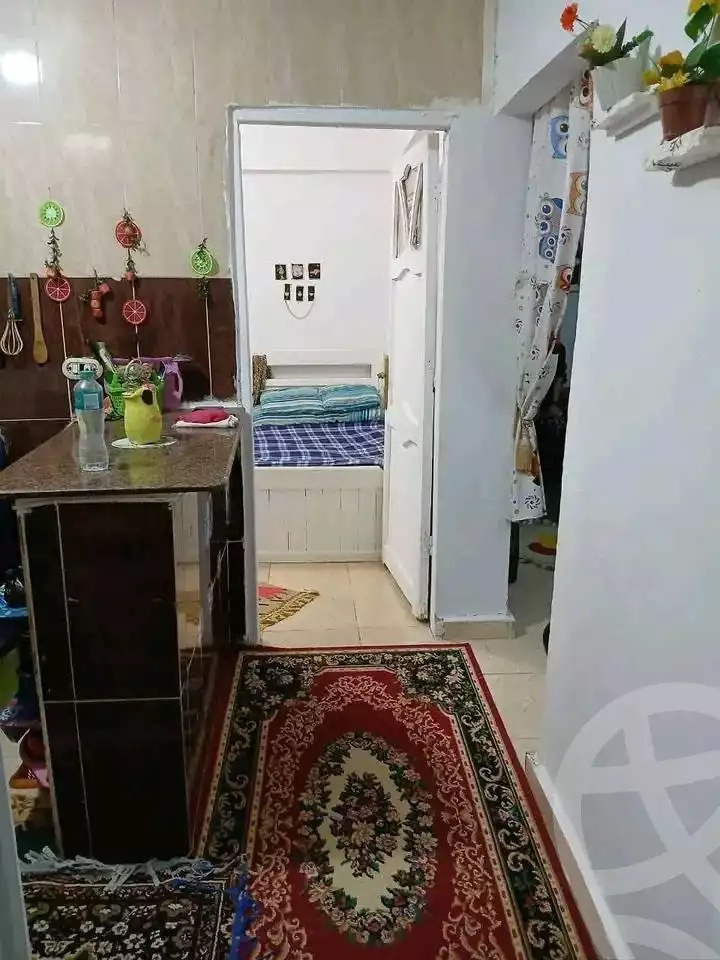 https://aqarmap.com.eg/ar/listing/6009280-for-sale-alexandria-l-jmy-lbytsh-el-hay-st