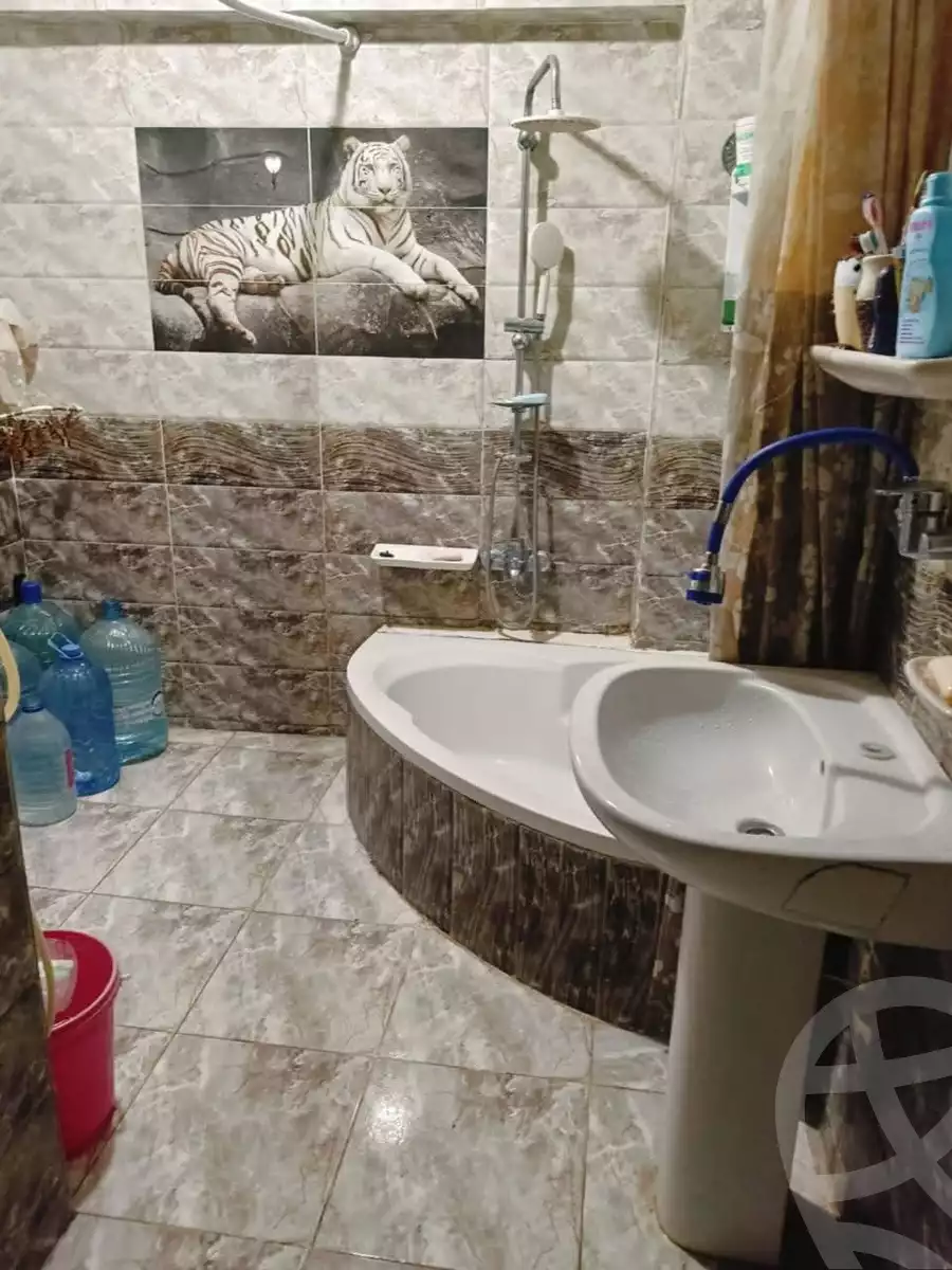 https://aqarmap.com.eg/en/listing/6012416-for-sale-alexandria-l-jmy-lbytsh-ain-shams-st