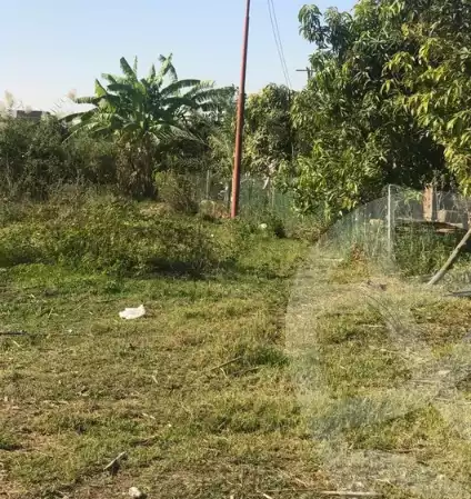 https://aqarmap.com.eg/ar/listing/6021134-for-sale-ismailia-fayed-fayad-al-gadida-st