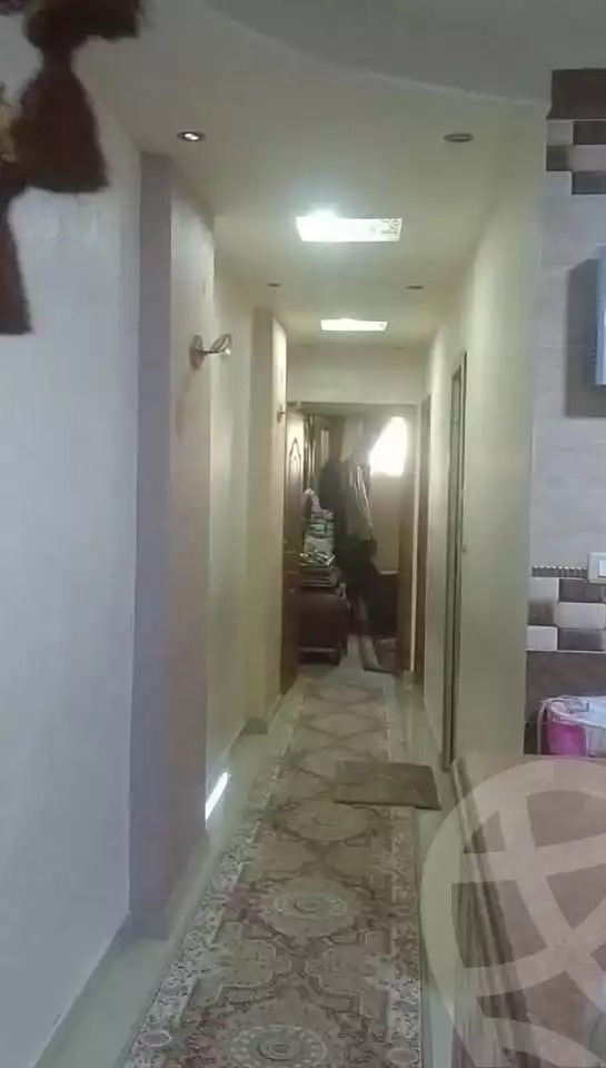 https://aqarmap.com.eg/en/listing/6024967-for-sale-alexandria-lsywf-gamila-abu-herid-st