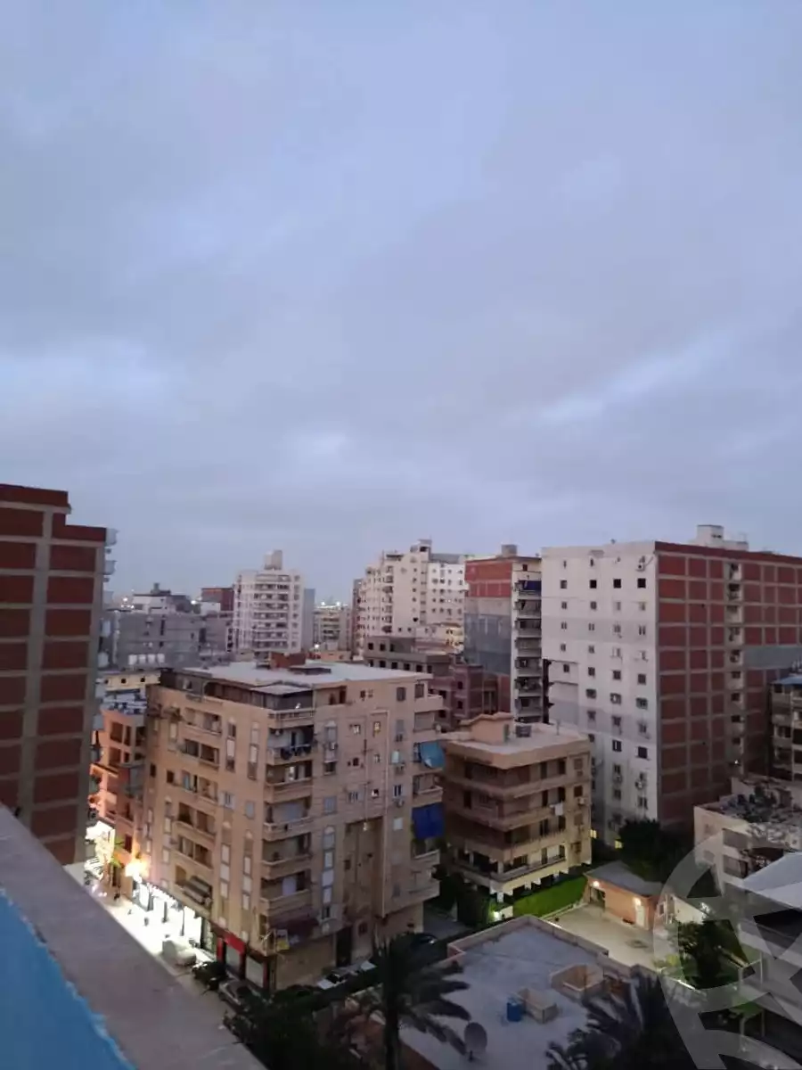 https://aqarmap.com.eg/en/listing/6025332-for-sale-alexandria-l-jmy-lbytsh