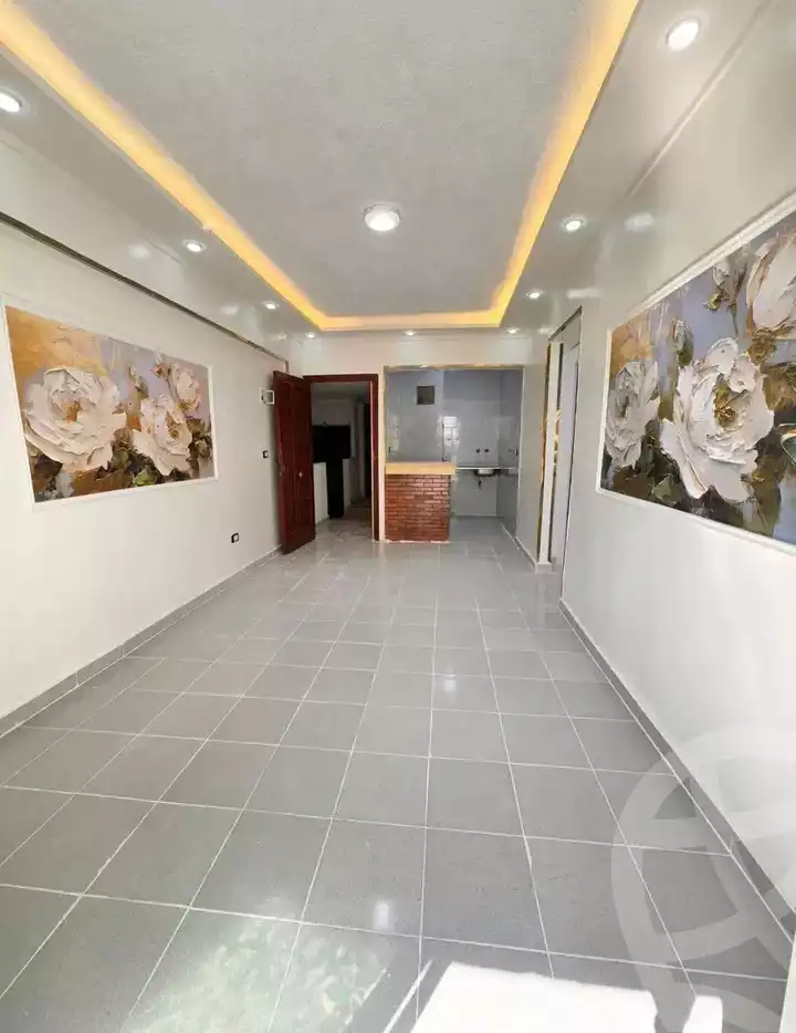 https://aqarmap.com.eg/en/listing/6025347-for-sale-alexandria-l-jmy-shataa-el-nakheel
