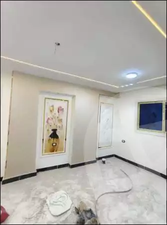 https://aqarmap.com.eg/en/listing/6025385-for-sale-cairo-faisal-el-lebeny