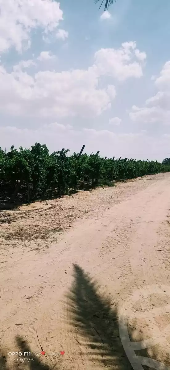 https://aqarmap.com.eg/ar/listing/6025421-for-sale-cairo-el-sheikh-zayed-city-alex-cairo-desert-road-kmbwnd-fy-tryq-skndry-lshrwy