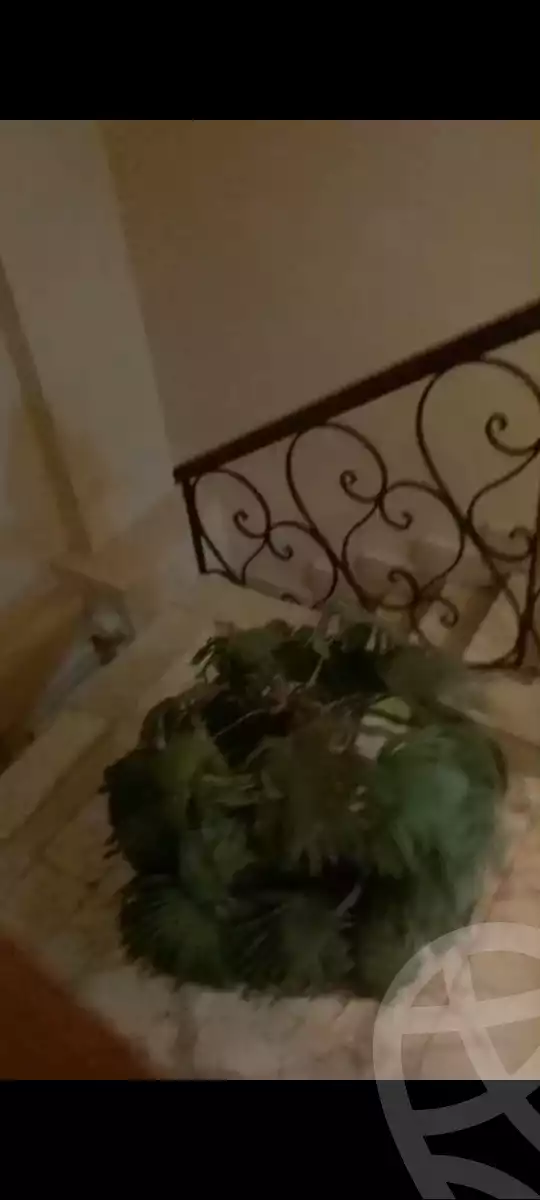 https://aqarmap.com.eg/en/listing/6026167-for-sale-cairo-new-cairo-ganob-el-akadamiya-south-academy-h-amr-ibn-el-ass-st