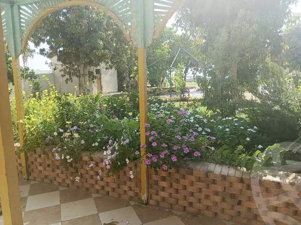 https://aqarmap.com.eg/en/listing/6026464-for-rent-ismailia-fayed-al-sawhel-st