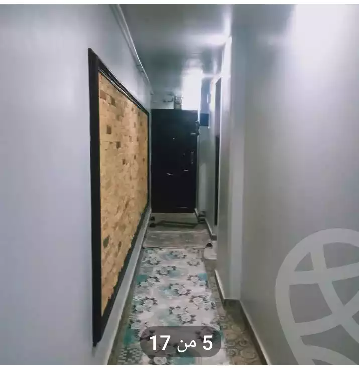 https://aqarmap.com.eg/en/listing/6027203-for-sale-alexandria-l-jmy-lbytsh-el-hanafeya-st