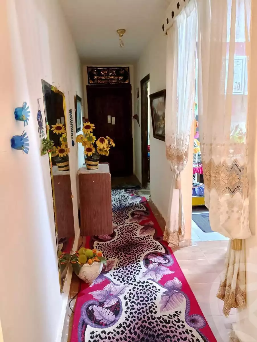 https://aqarmap.com.eg/en/listing/6027264-for-rent-alexandria-l-jmy-lbytsh-bianchiii