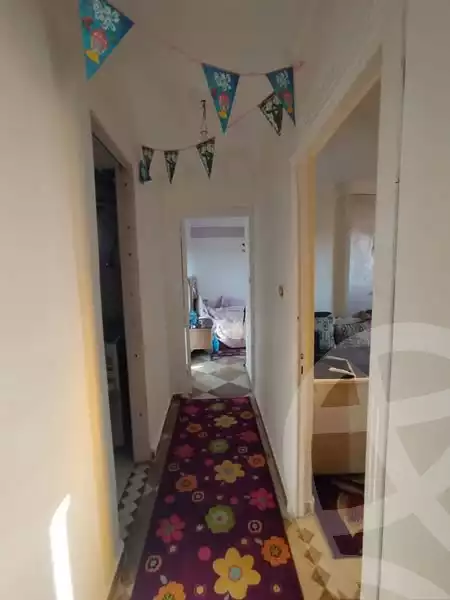 https://aqarmap.com.eg/en/listing/6028238-for-sale-alexandria-l-jmy-lbytsh-qased-kareem-st
