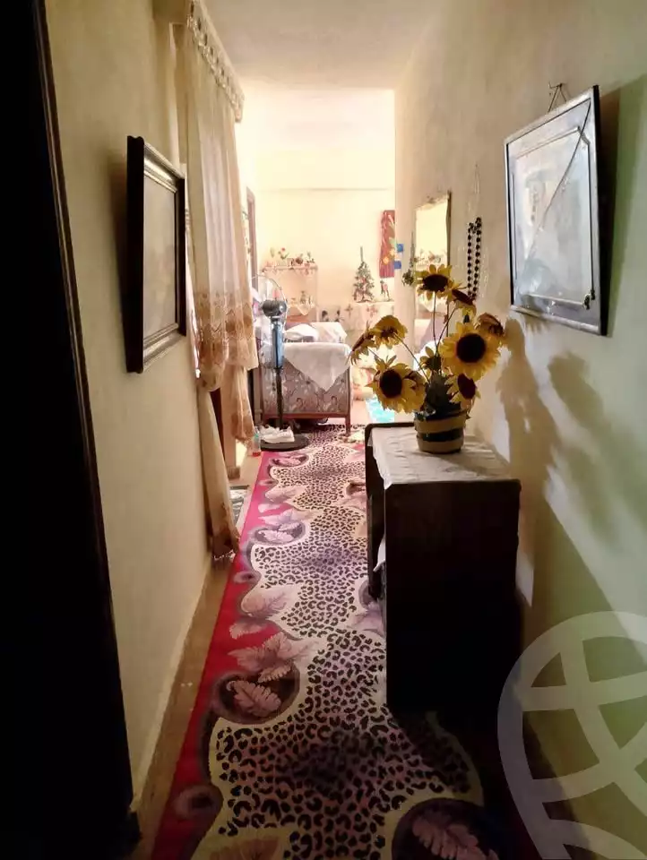 https://aqarmap.com.eg/en/listing/6030485-for-rent-alexandria-l-jmy-lbytsh-bianchiii