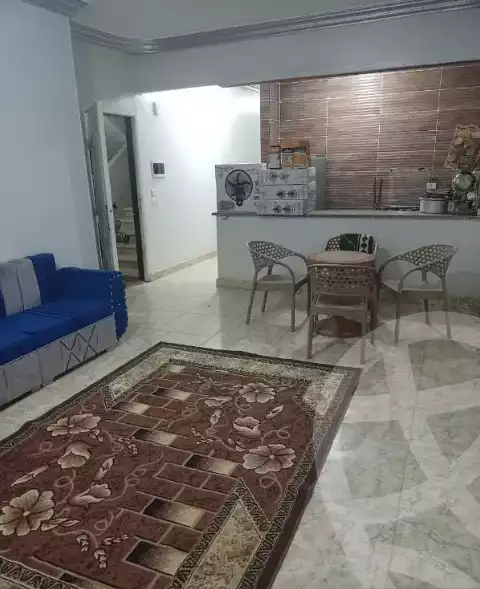 https://aqarmap.com.eg/en/listing/6031375-for-rent-cairo-badr-city