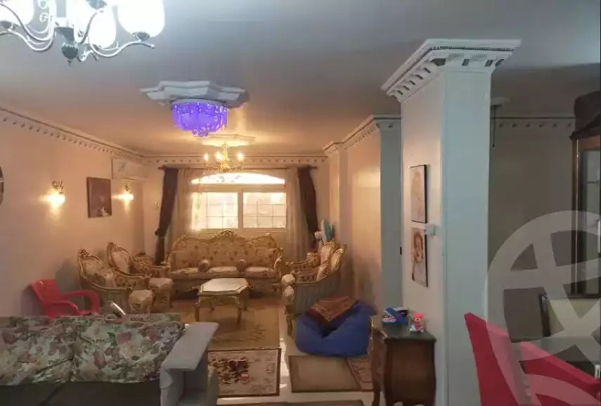 https://aqarmap.com.eg/en/listing/6031702-for-sale-cairo-ain-shams-yn-shms-lgrby