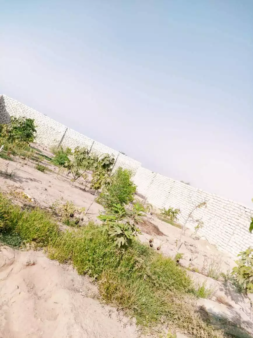 https://aqarmap.com.eg/en/listing/6031870-for-sale-ismailia-ismailia-city