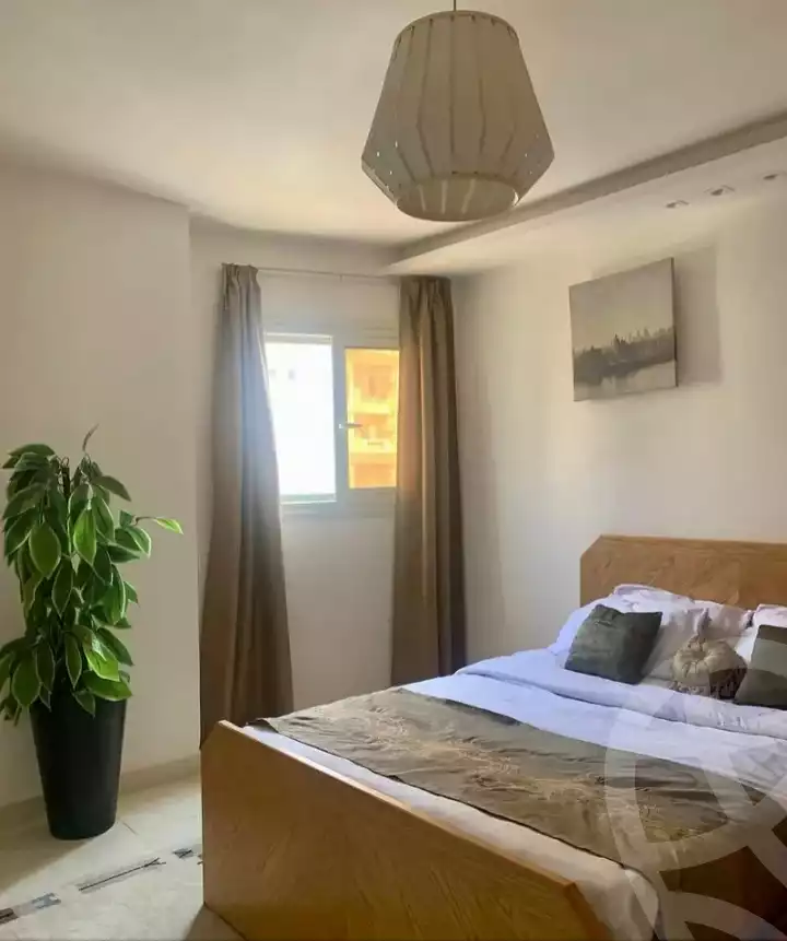 https://aqarmap.com.eg/en/listing/6033312-for-rent-cairo-heliopolis