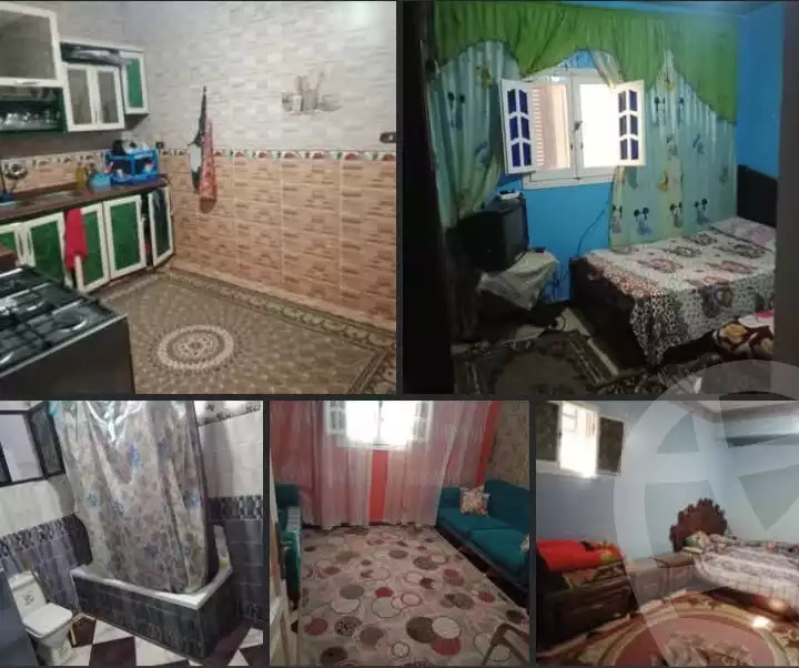 https://aqarmap.com.eg/en/listing/6035750-for-sale-alexandria-l-jmy