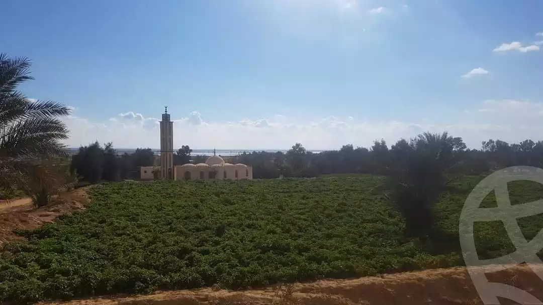 https://aqarmap.com.eg/en/listing/5944560-for-sale-el-fayoum-fayoum-fayoum-city