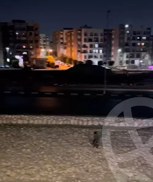 https://aqarmap.com.eg/en/listing/6041029-for-sale-cairo-nasr-city-zahraa-nasr-city-masakn-el-dobat