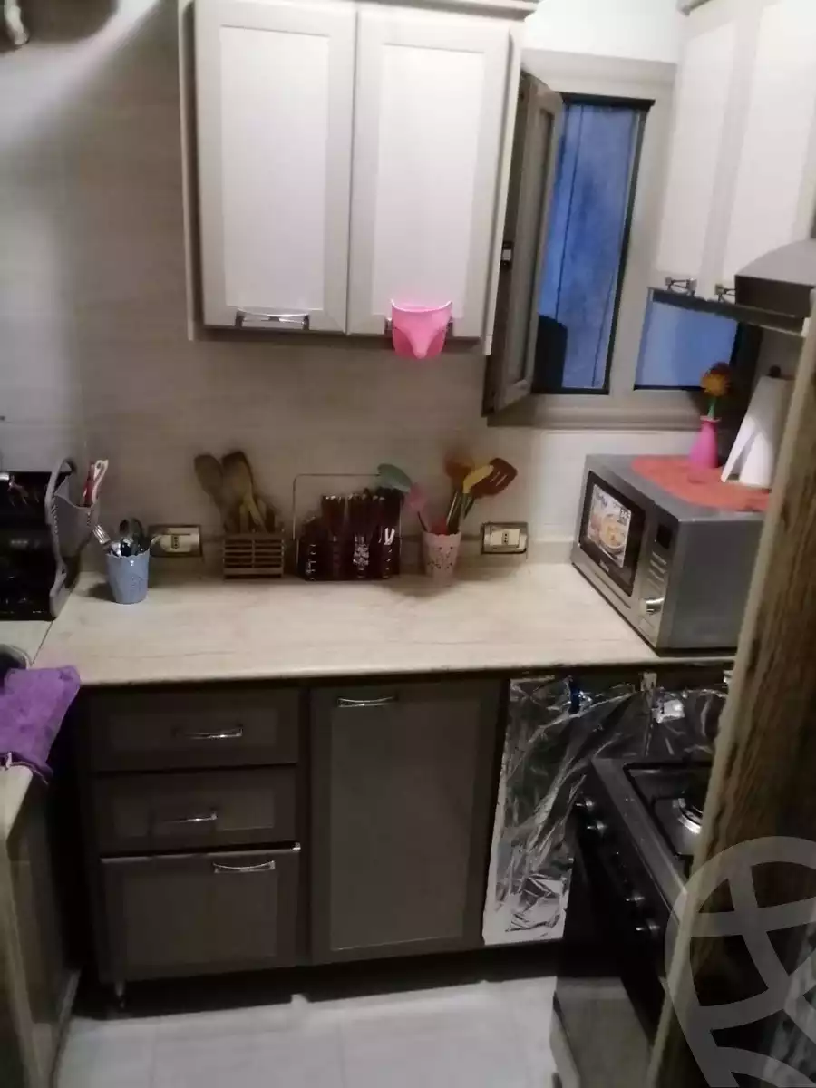 https://aqarmap.com.eg/en/listing/6043928-for-sale-cairo-ain-shams-yn-shms-lgrby