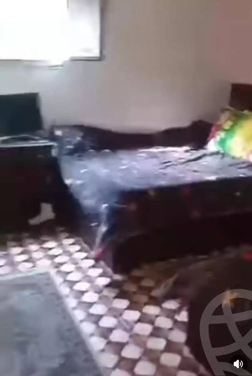 https://aqarmap.com.eg/en/listing/6046969-for-sale-cairo-faisal-el-tawabeq-el-shaheed-ahmed-hamdy-st