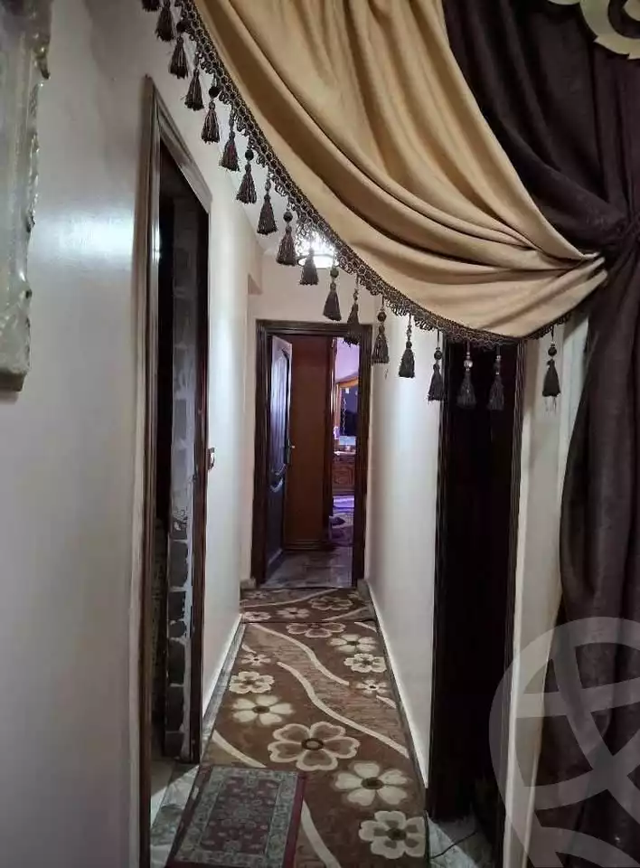 https://aqarmap.com.eg/en/listing/6047323-for-sale-alexandria-l-jmy-lbytsh-qased-kareem-st
