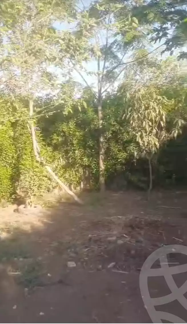 https://aqarmap.com.eg/en/listing/6047332-for-sale-monufia-ashmoun