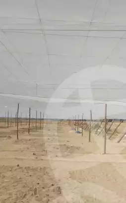 https://aqarmap.com.eg/ar/listing/6049102-for-sale-beheira-wadi-el-natrun