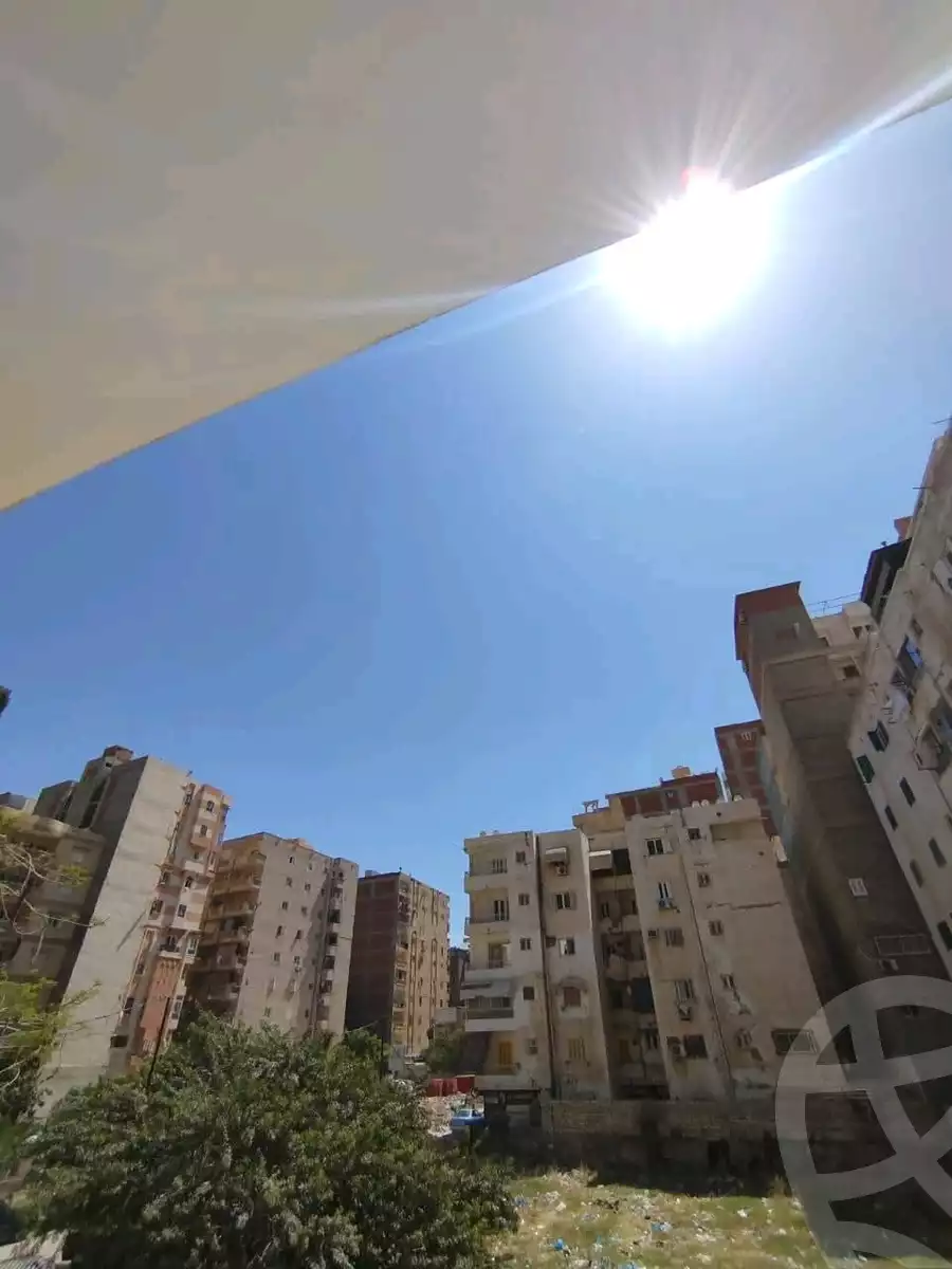 https://aqarmap.com.eg/en/listing/6050454-for-sale-alexandria-l-jmy-lbytsh-mohamed-el-fardi-st