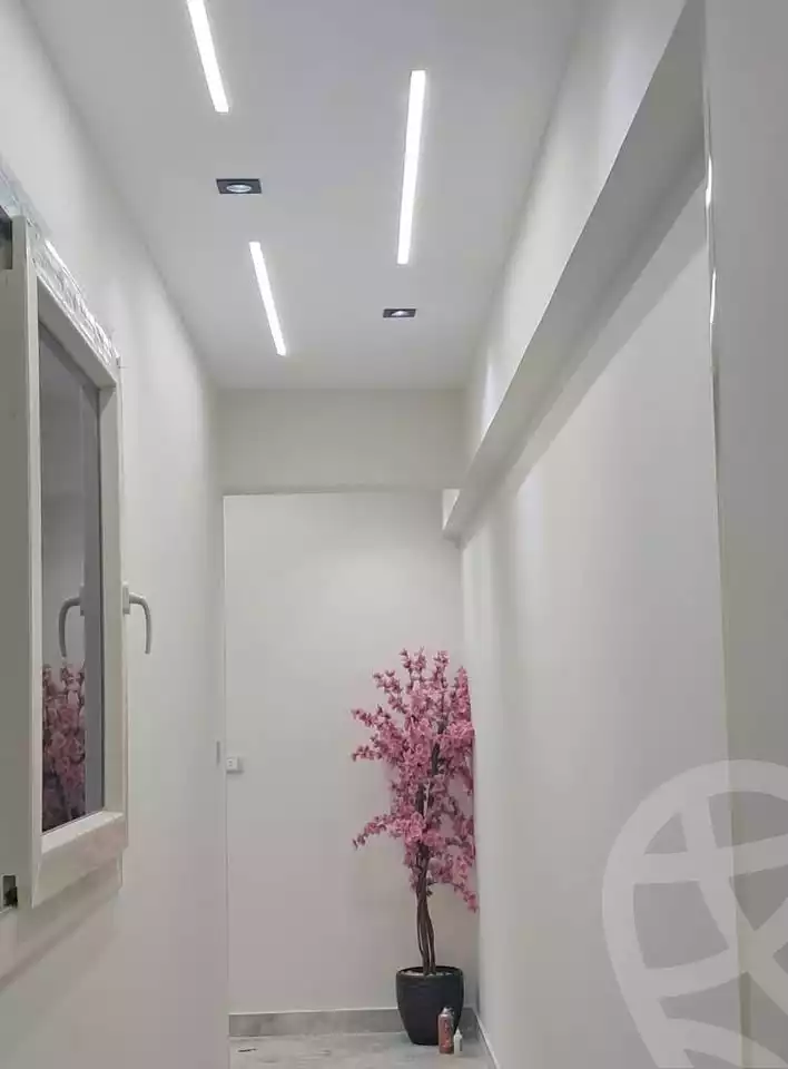 https://aqarmap.com.eg/en/listing/6053865-for-sale-cairo-el-abbasiya-abdou-basha