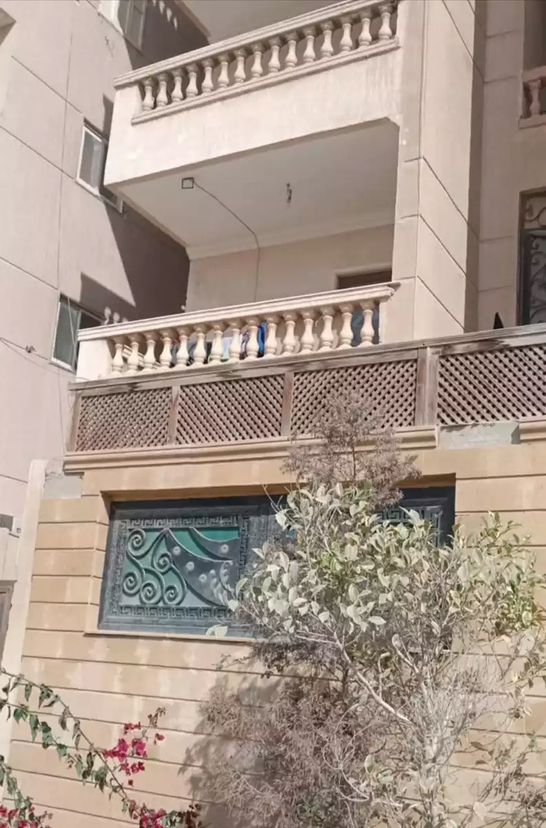 https://aqarmap.com.eg/en/listing/6054501-for-sale-cairo-hadayek-el-ahram-el-gaish-st