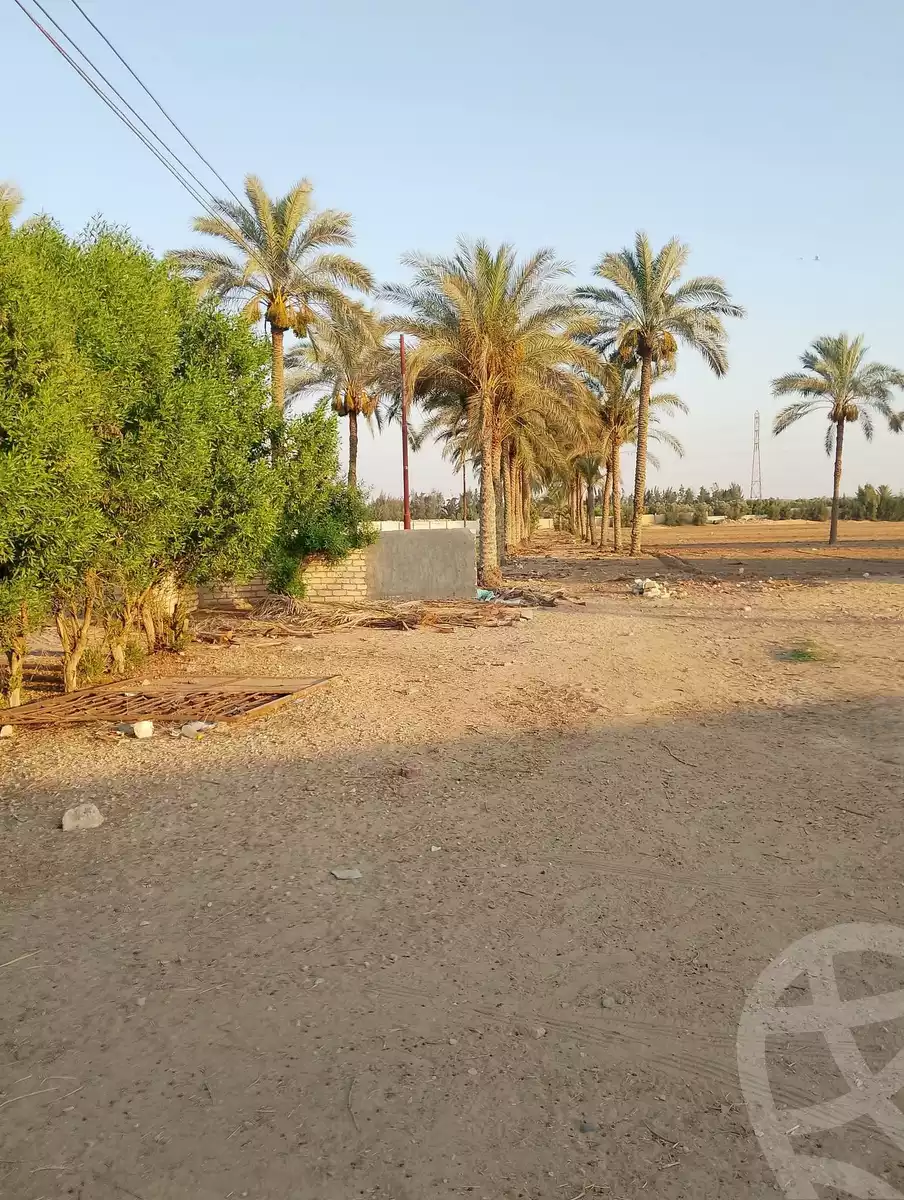 https://aqarmap.com.eg/en/listing/6055125-for-sale-ismailia-ismailia-city
