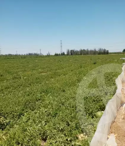 https://aqarmap.com.eg/en/listing/6055782-for-sale-beheira-wadi-el-natrun