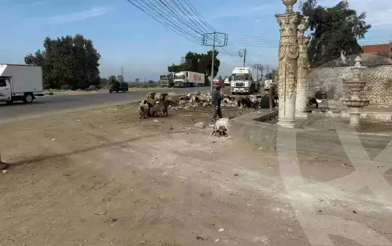 https://aqarmap.com.eg/ar/listing/6061743-for-sale-gharbia-tanta-tanta-city-kafr-essam-st