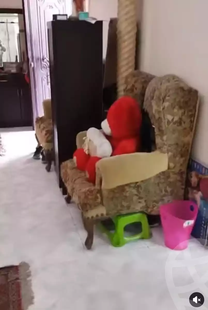 https://aqarmap.com.eg/en/listing/6065465-for-sale-cairo-faisal-awel-faisal