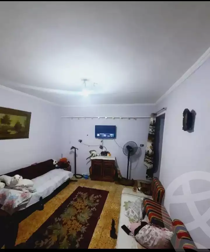 https://aqarmap.com.eg/en/listing/6066695-for-sale-alexandria-l-jmy-lbytsh