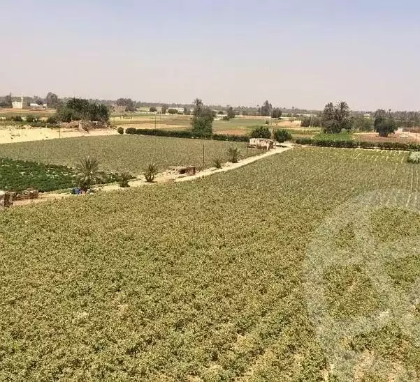 https://aqarmap.com.eg/en/listing/6067428-for-sale-cairo-el-mansuriyyah