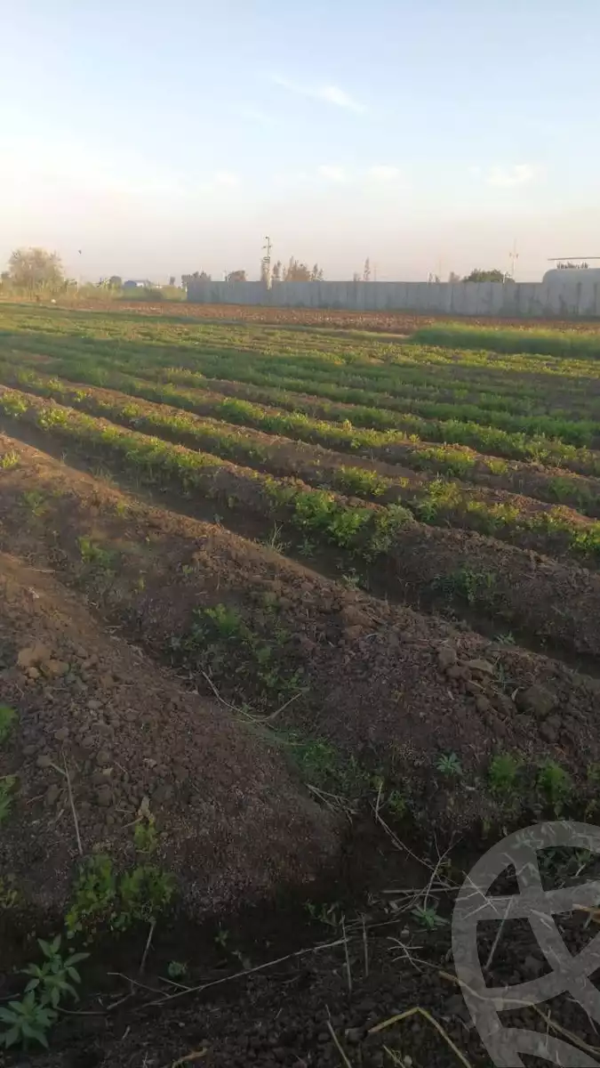 https://aqarmap.com.eg/ar/listing/6068178-for-sale-dakahlia-belqas-besndela
