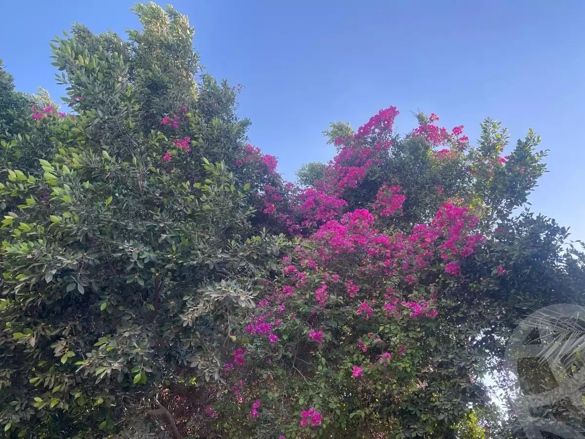 https://aqarmap.com.eg/en/listing/6068843-for-sale-cairo-6th-of-october-green-belt-wadi-el-nile