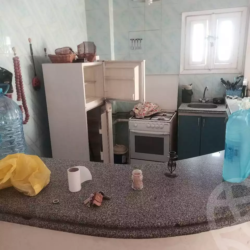 https://aqarmap.com.eg/en/listing/6069409-for-sale-alexandria-l-jmy-shataa-el-nakheel