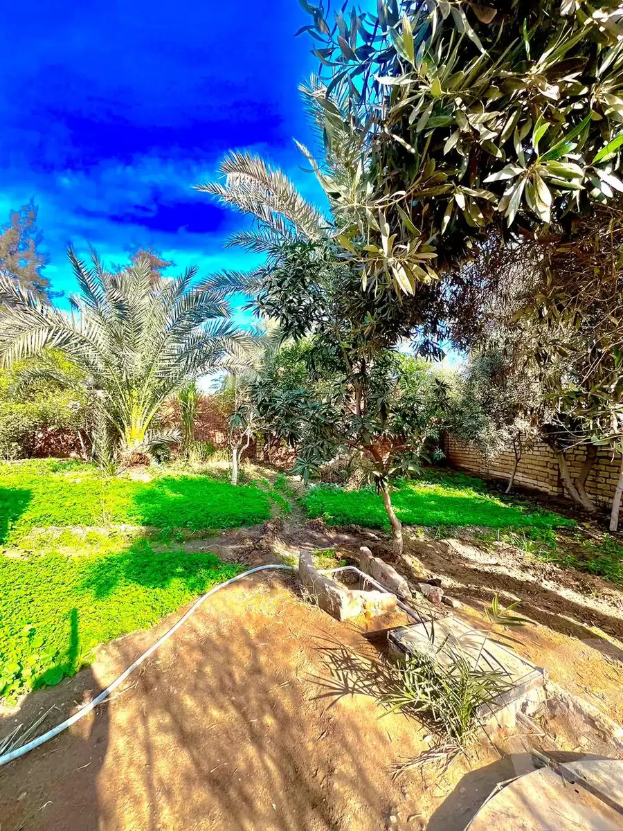 https://aqarmap.com.eg/en/listing/6069375-for-sale-sharqia-bilbeis-belbes-city