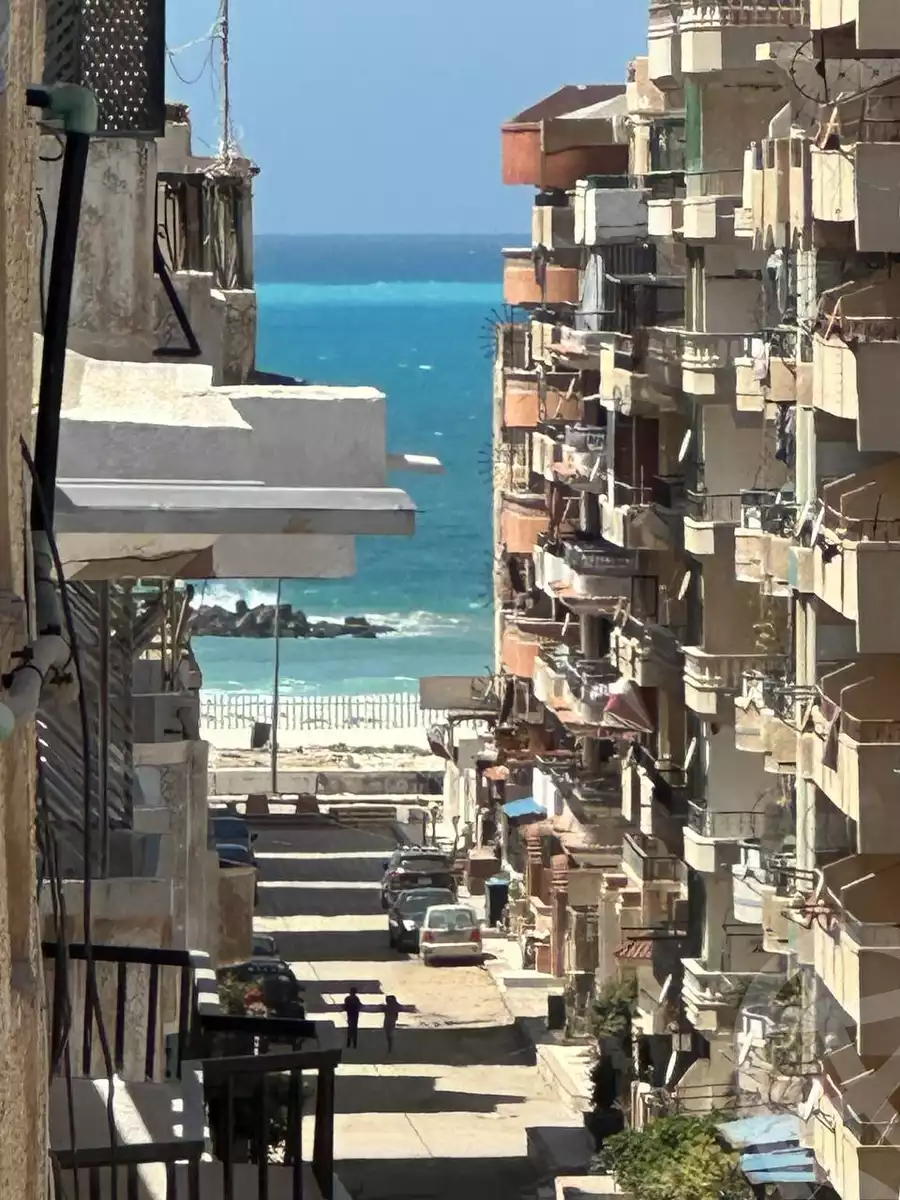 https://aqarmap.com.eg/en/listing/6073046-for-sale-alexandria-l-jmy-shataa-el-nakheel