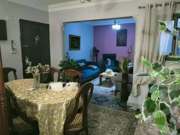 https://aqarmap.com.eg/ar/listing/6077326-for-sale-cairo-ain-shams-ain-shams-el-sharkia